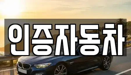서울특별시 중구 충무로3가 중고차매매 전문 인증자동차
