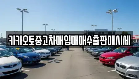 서울특별시 중구 충무로3가 중고차매입 전문 카카오토중고차매입매매수출판매시세
