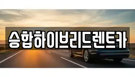서울특별시 중랑구 상봉동 단기렌트카 전문 승합하이브리드렌트카