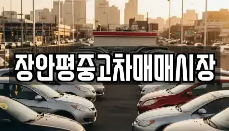 서울특별시 중랑구 상봉동 중고차매매 전문 장안평중고차매매시장