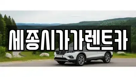 세종 고운동 단기렌트카,중고차매입,중고차매매,중고차,렌트카,장기렌트카