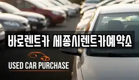 세종 고운동 장기렌트카 전문 바로렌트카 세종시렌트카예약소