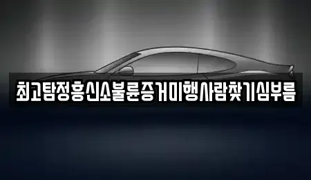 세종 고운동 중고차 전문 최고탐정흥신소불륜증거미행사람찾기심부름