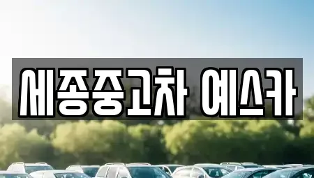 세종 고운동 중고차매매 전문 세종중고차 예스카