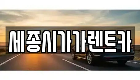 세종 단기렌트카 전문 세종시가가렌트카