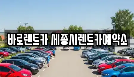 세종 렌트카 전문 바로렌트카 세종시렌트카예약소