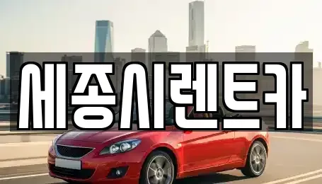 세종 렌트카 전문 세종시렌트카