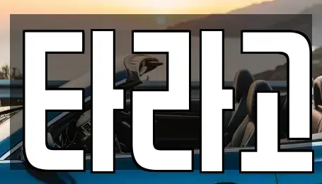 세종 렌트카 전문 타라고