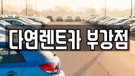 세종 부강면 렌트카 전문 다연렌트카 부강점