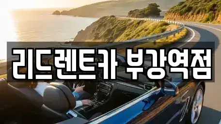 세종 부강면 렌트카 전문 리드렌트카 부강역점