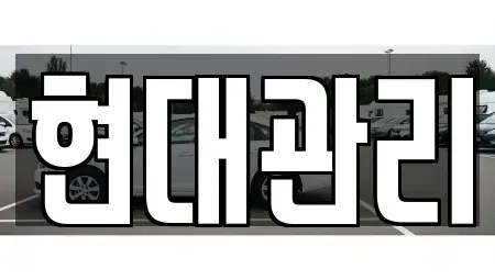 세종 부강면 렌트카 전문 현대관리