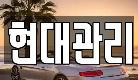 세종 전의면 렌트카 전문 현대관리