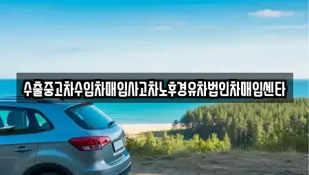 세종 전의면 장기렌트카,중고차,렌트카,단기렌트카,중고차매입,중고차매매