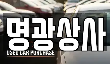 세종 중고차 전문 명광상사
