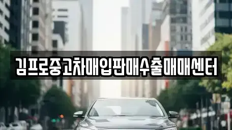 세종 중고차매입 전문 김프로중고차매입판매수출매매센터