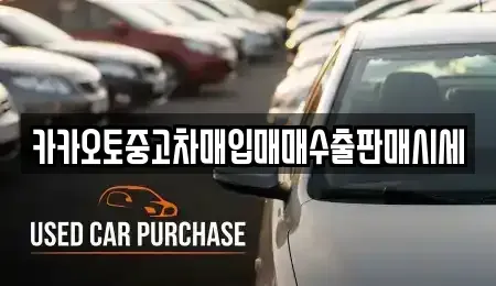 세종 중고차매입 전문 카카오토중고차매입매매수출판매시세
