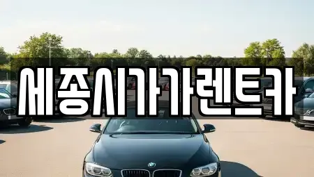 세종특별자치시 장군면 단기렌트카,중고차매입,중고차매매,중고차,렌트카,장기렌트카