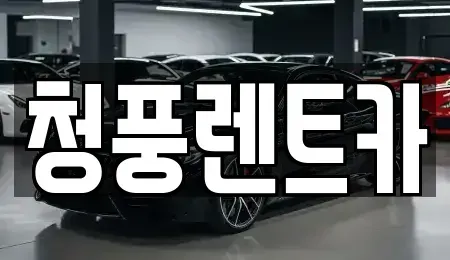 세종특별자치시 장군면 렌트카 전문 청풍렌트카