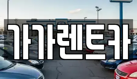 세종특별자치시 장군면 장기렌트카 전문 가가렌트카