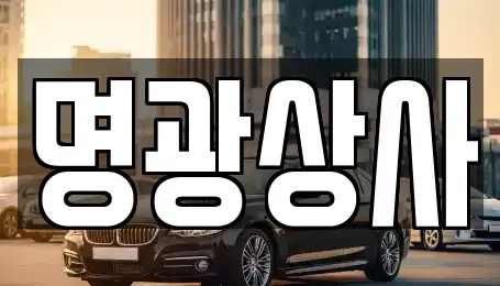 세종특별자치시 장군면 중고차매매 전문 명광상사