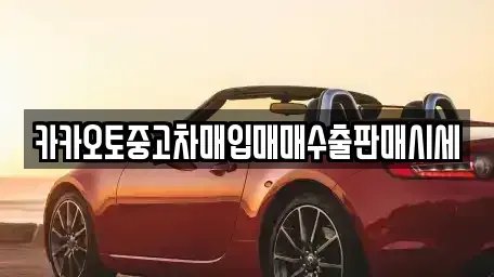 세종특별자치시 장군면 중고차매입 전문 카카오토중고차매입매매수출판매시세