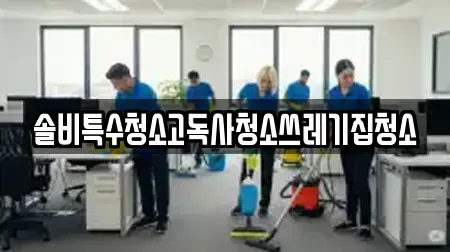 솔비특수청소고독사청소쓰레기집청소