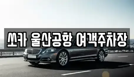 울산 북구 시례동 렌트카 전문 쏘카 울산공항 여객주차장