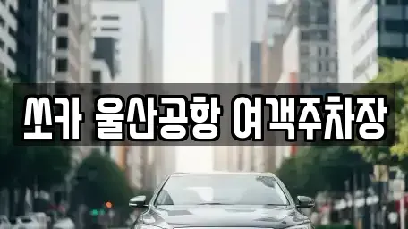 울산 중구 장현동 렌트카 전문 쏘카 울산공항 여객주차장
