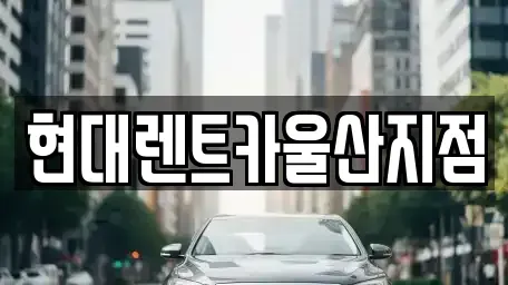 울산 중구 장현동 렌트카 전문 현대렌트카울산지점