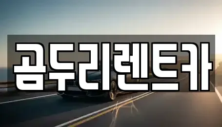 울산광역시 동구 화정동 렌트카 전문 곰두리렌트카