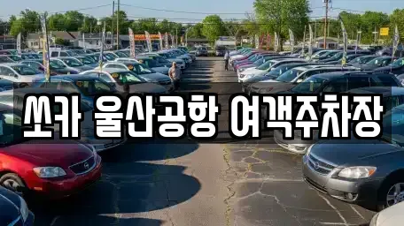 울산광역시 북구 창평동 렌트카 전문 쏘카 울산공항 여객주차장