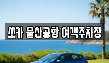 울산광역시 북구 화봉동 렌트카 전문 쏘카 울산공항 여객주차장