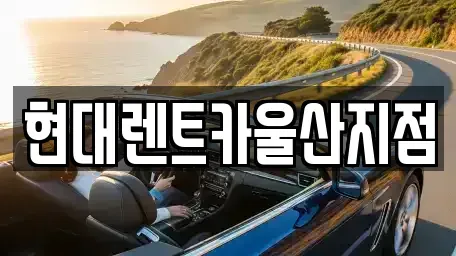 울산광역시 중구 렌트카 전문 현대렌트카울산지점