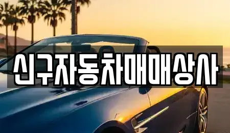 울산광역시 중구 북정동 중고차 전문 신구자동차매매상사