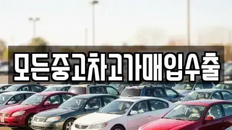 인천 계양구 박촌동 중고차 전문 모든중고차고가매입수출