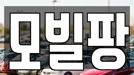 인천 부평구 일신동 중고차 전문 모빌팡