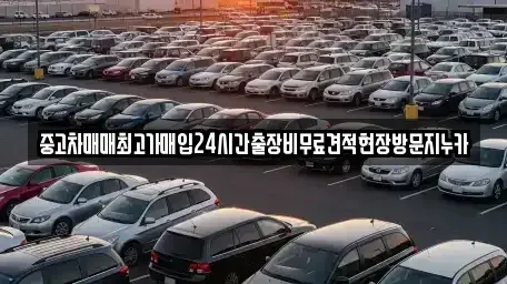인천 중구 신생동 중고차 전문 중고차매매최고가매입24시간출장비무료견적현장방문지누카