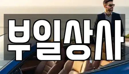 인천광역시 강화군 선원면 중고차매매 전문 부일상사