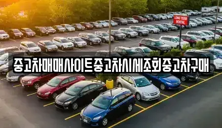 인천광역시 강화군 선원면 중고차매매,단기렌트카,중고차매입,장기렌트카,중고차,렌트카