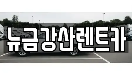 인천광역시 계양구 하야동 렌트카 전문 뉴금강산렌트카