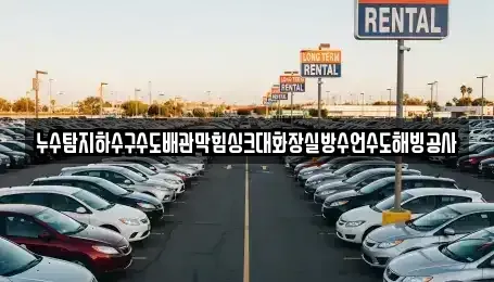 인천광역시 계양구 하야동 중고차 전문 누수탐지하수구수도배관막힘싱크대화장실방수언수도해빙공사