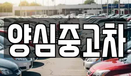 인천광역시 계양구 하야동 중고차 전문 양심중고차