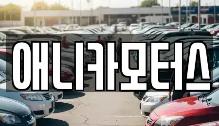 인천광역시 계양구 하야동 중고차매매 전문 애니카모터스