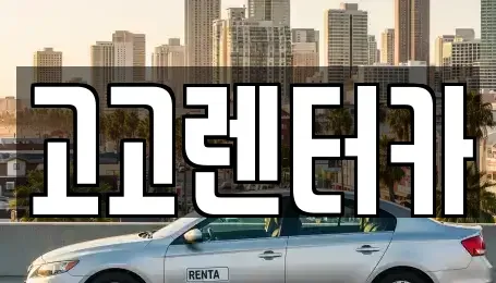 인천광역시 서구 청라동 장기렌트카 전문 고고렌터카