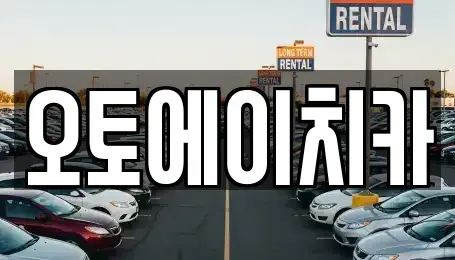 인천광역시 서구 청라동 장기렌트카 전문 오토에이치카