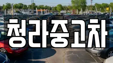 인천광역시 서구 청라동 중고차매매 전문 청라중고차