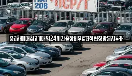 인천광역시 서구 청라동 중고차매입 전문 중고차매매최고가매입24시간출장비무료견적현장방문지누카