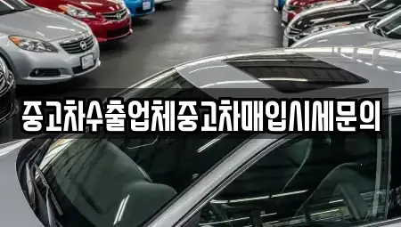 인천광역시 서구 청라동 중고차매입 전문 중고차수출업체중고차매입시세문의
