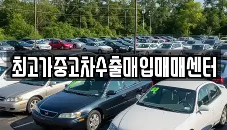 인천광역시 서구 청라동 중고차매입 전문 최고가중고차수출매입매매센터