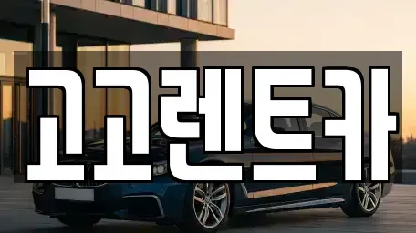 인천광역시 연수구 청학동 렌트카 전문 고고렌트카